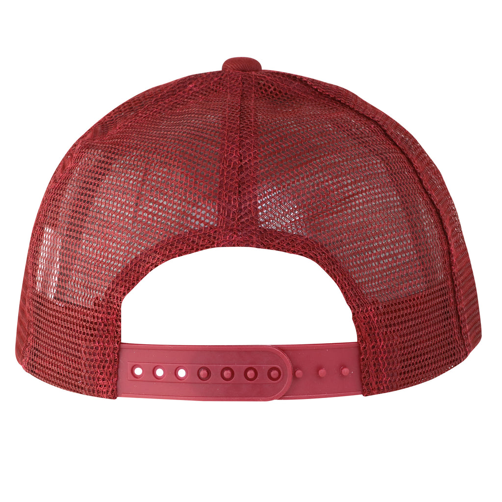 Kappa Alpha Psi Phi Nu Pi Forever Trucker Hat – Nupemall